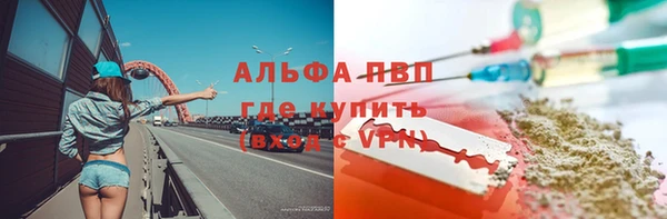 прущие грибы Балабаново